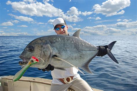 Exploring Offshore Ecosystems with Blue Magic Fishing Charters